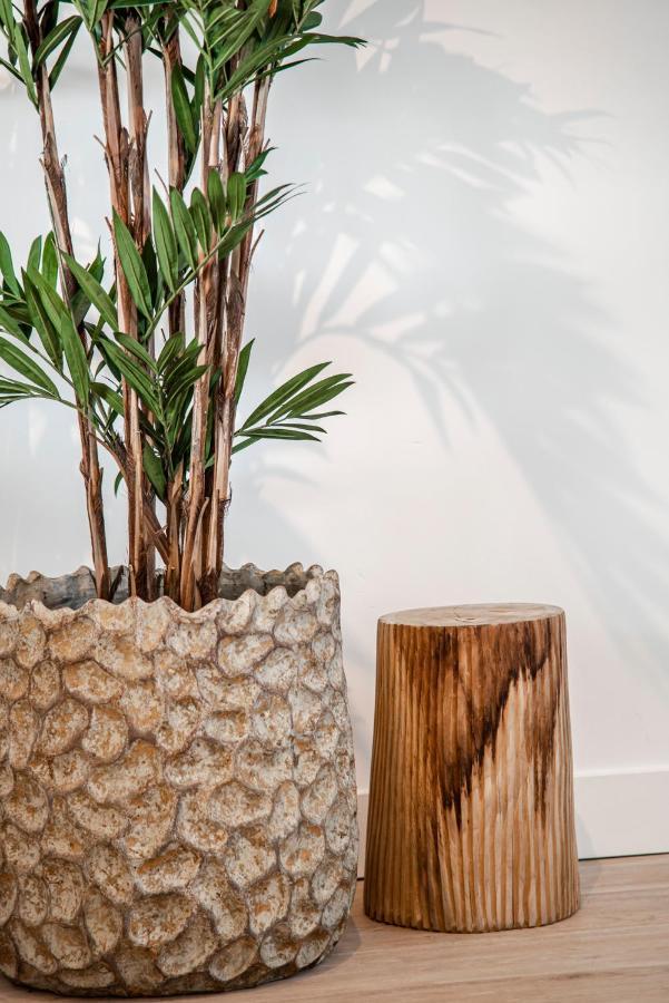 Yucca Beachhouse Zandvoort Buitenkant foto