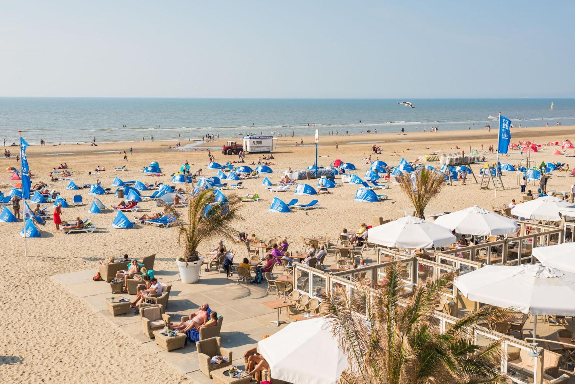 Yucca Beachhouse Zandvoort Buitenkant foto